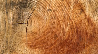 Yıpranmış Ahşap Yapısı Soyut Arkaplan Tasarımı