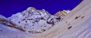 Annapurna South, Annapurna Range Sunrise, Trek to Annapurna Base Camp, Annapurna Conservation Area, Himalaya, Nepal, Asia clipart