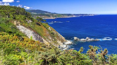 Espritu Santo, Cantabrian Denizi, Miradores Sahil Yolu, Natura 2000 Ağı, Koruma Alanı, Muros de Nalon, Principado de Asturias, İspanya, Avrupa