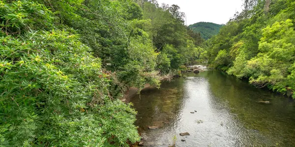 Fragas do Eume Doğal Parkı, Pontedeume, A Coruna, Galiçya, İspanya, Avrupa