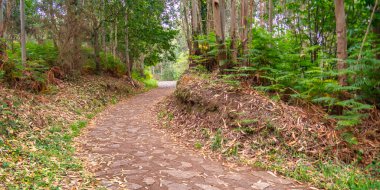 Miradores Sahil Yolu, Cantabrian Sahili, Natura 2000 Ağı, Koruma Alanı, Muros de Nalon, Principado de Asturias, İspanya, Avrupa