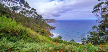 Miradores Sahil Yolu, Cantabrian Denizi, Natura 2000 Ağı, Koruma Alanı, Muros de Nalon, Principado de Asturias, İspanya, Avrupa