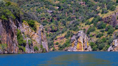 Akdeniz Riverside Ormanı, Arribes del Duero Doğal Parkı, SPA, SAC, Biyosfer Rezervi, Salamanca, Castilla y Leon, İspanya, Avrupa