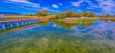 Tablolar Daimiel Ulusal Parkı, Daimiel, Ciudad Real, Castilla La Mancha, İspanya, Avrupa