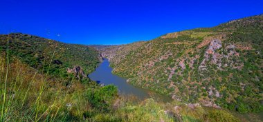 Mirador del Duero Viewpoint Yürüyüş Yolu, Arribes del Duero Doğal Parkı, SPA, SAC, Biyosfer Rezervi, Salamanca, Castilla y Leon, İspanya, Avrupa