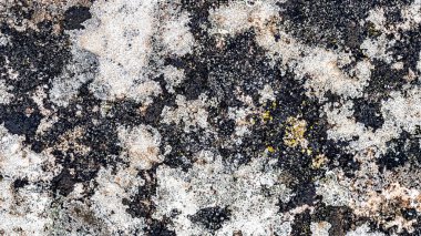 Doğal Kaya Yapısı Soyut Arkaplan Tasarımı