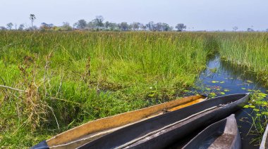 Mokoro, Dugout kanoları, Geleneksel Tekne, Okavango Bataklıkları, Okavango Deltası, Okavango Otlağı, UNESCO Dünya Mirası Alanı, Ramsar Wetland, Botswana, Afrika