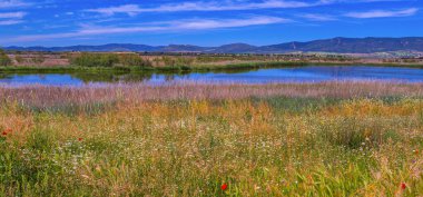 Tablolar Daimiel Ulusal Parkı, Daimiel, Ciudad Real, Castilla La Mancha, İspanya, Avrupa