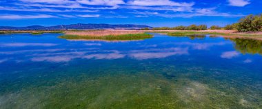 Tablolar Daimiel Ulusal Parkı, Daimiel, Ciudad Real, Castilla La Mancha, İspanya, Avrupa