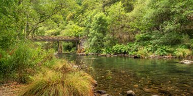 Fragas do Eume Natural Park, Pontedeume, A Coruna, Galicia, Spain, Europe clipart