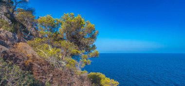 Cap del Pinar Bakış Açısı, Son Servera Deniz Kıyısı, Akdeniz, Mallorca, Balear Adaları, İspanya, Avrupa