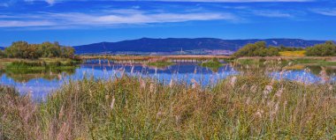 Tablolar Daimiel Ulusal Parkı, Daimiel, Ciudad Real, Castilla La Mancha, İspanya, Avrupa