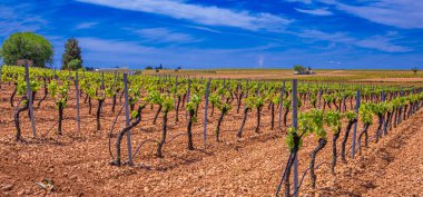 Sokak Sahnesi, Geleneksel Mimari, Muros de Nalon, Principado de Asturias, İspanya, Avrupa