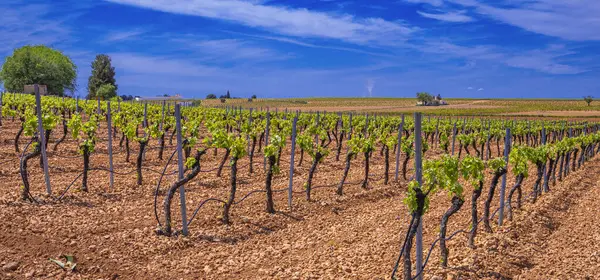 Sokak Sahnesi, Geleneksel Mimari, Muros de Nalon, Principado de Asturias, İspanya, Avrupa