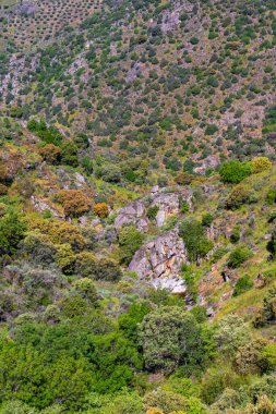 Sokak Sahnesi, Geleneksel Mimari, Muros de Nalon, Principado de Asturias, İspanya, Avrupa