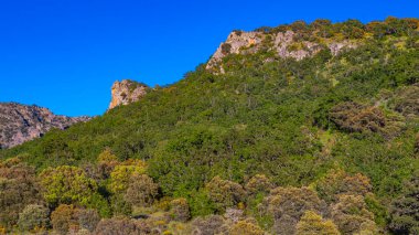 Akdeniz Orman Ovası, Arribes del Duero Doğal Parkı, SPA, SAC, Biyosfer Rezervi, Salamanca, Castilla y Leon, İspanya, Avrupa