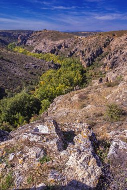 Pelegrina, Felix Rodriguez de la Fuente Haraç, Barranco del Ro Dulce Doğal Parkı, Siguenza, Guadalajara, Castilla La Mancha, İspanya, Avrupa