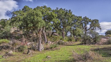 Korunan Peyzaj Monte Valcorchero y Sierra del Gordo, UICN, Plasencia, Caceres, Extremadura, İspanya, Avrupa