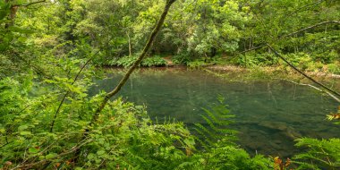 Fragas do Eume Doğal Parkı, Pontedeume, A Coruna, Galiçya, İspanya, Avrupa