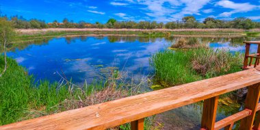 Tablolar Daimiel Ulusal Parkı, Daimiel, Ciudad Real, Castilla La Mancha, İspanya, Avrupa