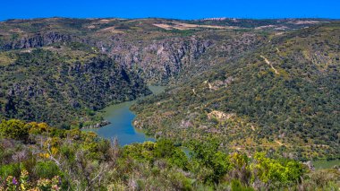 Arribes del Duero Viewpoint, Arribes del Duero Doğal Parkı, SPA, SAC, Biyosfer Rezervi, Salamanca, Kastilya ve Leon, İspanya, Avrupa
