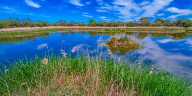 Tablas de Daimiel National Park, Daimiel, Ciudad Real, Castilla La Mancha, Spain, Europe clipart