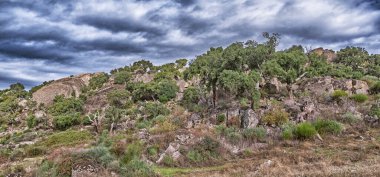 Korunan Peyzaj Monte Valcorchero y Sierra del Gordo, UICN, Plasencia, Caceres, Extremadura, İspanya, Europ