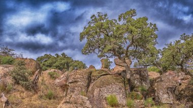 Korunan Peyzaj Monte Valcorchero y Sierra del Gordo, UICN, Plasencia, Caceres, Extremadura, İspanya, Europ