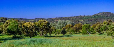 Akdeniz Orman Ovası, Arribes del Duero Doğal Parkı, SPA, SAC, Biyosfer Rezervi, Salamanca, Kastilya ve Leon, İspanya, Avrupa