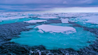 Yüzen Buz ve Karlı Dağlar, Albert I Land, Arctic, Spitsbergen, Svalbard, Norveç, Avrupa