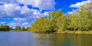 Biesbosch National Park, Noord-Brabant Province, Holland, Netherlands, Europe