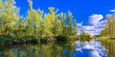 Biesbosch National Park, Noord-Brabant Province, Holland, Netherlands, Europe