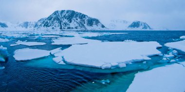 Yüzen Buz ve Karlı Dağlar, Albert I Land, Arctic, Spitsbergen, Svalbard, Norveç, Avrupa