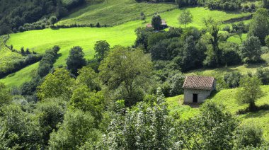 Vadi manzarası, Doğal Parkı Yenileme, UNESCO Biyosfer Rezervi, LIC, ZEPA, Caso, Sobrescobio, Asturias, İspanya, Avrupa