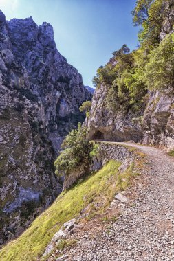 Ruta del Cares, Cares Trail Trekking Path, Picos de Europa Milli Parkı, Biyosfer Rezervi, Cantabrian Dağları, Kastilya ve Leon-Asturias, İspanya, Avrupa