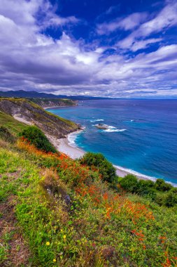 Vidio Cliffs Yolu, Cantabrian Denizi, Cabo de Vidio Deniz feneri yolu, Cudillero, Principado de Asturias, İspanya, Avrupa