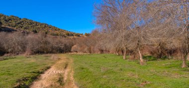 Piron Nehri Yolu 'nun Doğal Manzarası, Piron Nehri Vadisi, Segovia, Kastilya ve Leon, İspanya, Avrupa