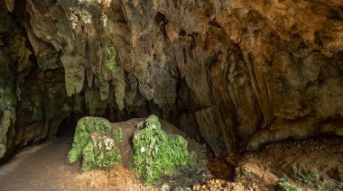 Doğal Anıt Kompleksi, Cobijeru Mağarası, Las Raices Mağarası, Llane Mağarası, Asturias, İspanya, Avrupa