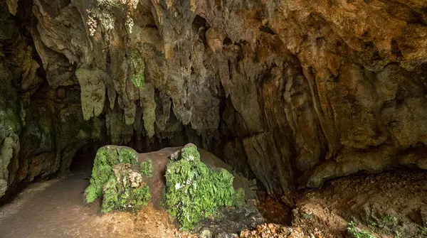 Doğal Anıt Kompleksi, Cobijeru Mağarası, Las Raices Mağarası, Llane Mağarası, Asturias, İspanya, Avrupa