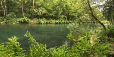 Fragas do Eume Doğal Parkı, Pontedeume, A Coruna, Galiçya, İspanya, Avrupa