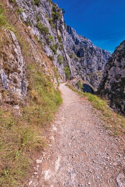 Ruta del Cares, Cares Trail Trekking Path, Picos de Europa Milli Parkı, Biyosfer Rezervi, Cantabrian Dağları, Kastilya ve Leon-Asturias, İspanya, Avrupa