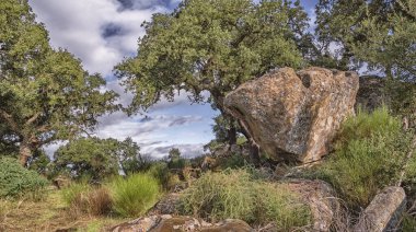 Korunan Peyzaj Monte Valcorchero y Sierra del Gordo, UICN, Plasencia, Caceres, Extremadura, İspanya, Avrupa