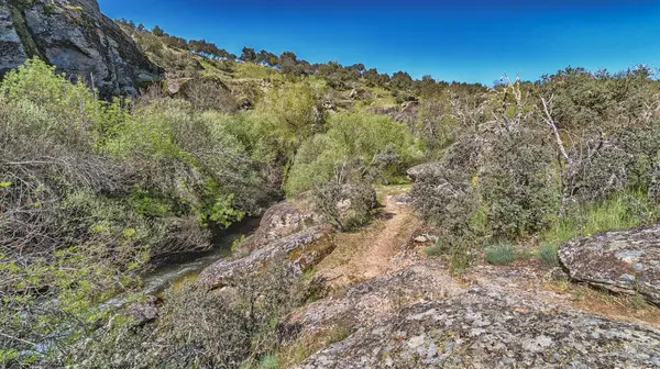 Balıkçı Yolu, Cega Nehri Ravine Yolu, Cega Nehri Geçidi, La Velilla, Pajares de Pedraza, Pedraza, Segovia, Kastilya ve Leon, İspanya, Avrupa