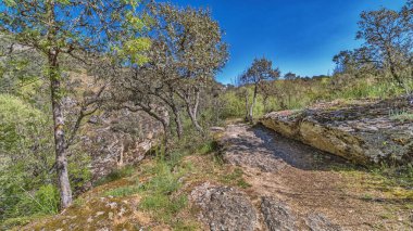Balıkçı Yolu, Cega Nehri Ravine Yolu, Cega Nehri Geçidi, La Velilla, Pajares de Pedraza, Pedraza, Segovia, Kastilya ve Leon, İspanya, Avrupa