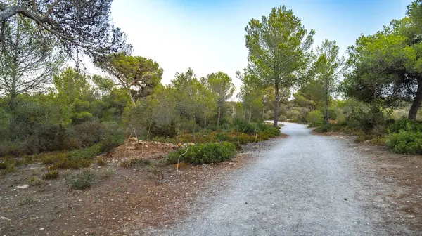 Finca Publica de Son Real, Natura 2000, Peninsula de Llevant Natural Park, Mallorca, Balearic Adaları, İspanya, Avrupa
