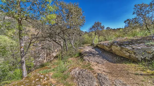 Balıkçı Yolu, Cega Nehri Ravine Yolu, Cega Nehri Geçidi, La Velilla, Pajares de Pedraza, Pedraza, Segovia, Kastilya ve Leon, İspanya, Avrupa