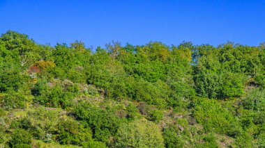 Akdeniz Orman Ovası, Arribes del Duero Doğal Parkı, SPA, SAC, Biyosfer Rezervi, Salamanca, Castilla y Leon, İspanya, Avrupa