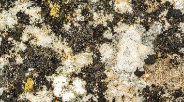 Doğal Kaya Yapısı Soyut Arkaplan Tasarımı