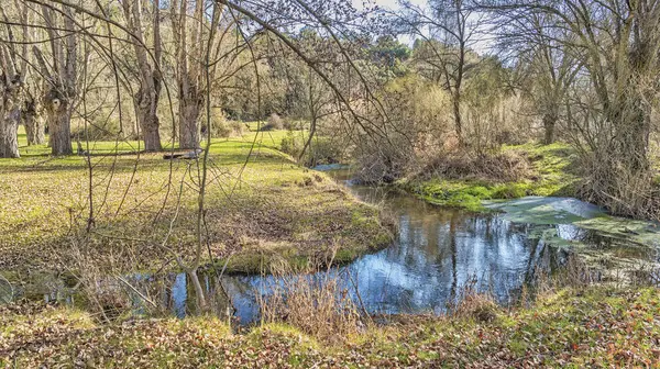 Piron Nehri Yolu 'nun Doğal Manzarası, Piron Nehri Vadisi, Segovia, Kastilya ve Leon, İspanya, Avrupa