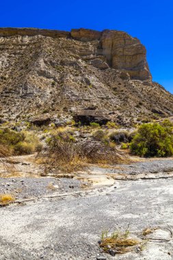 Tabernas Çölü Doğa Koruma Alanı, Sıcak Çöl İklim Bölgesi, Tabernas, Almerya, Endülüs, İspanya, Avrupa